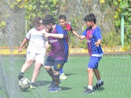 MIS Sports